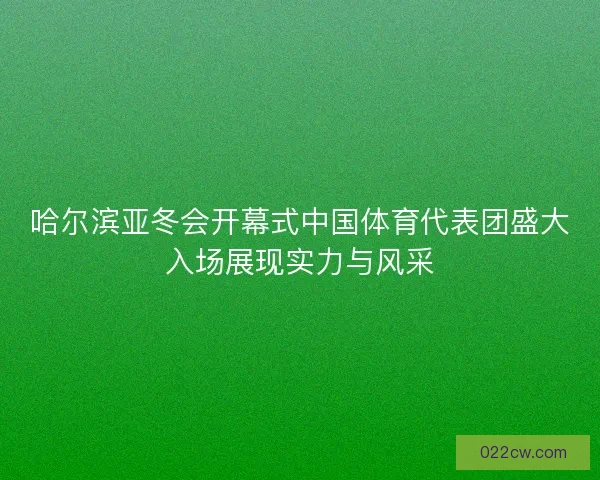 哈尔滨亚冬会开幕式中国体育代表团盛大入场展现实力与风采
